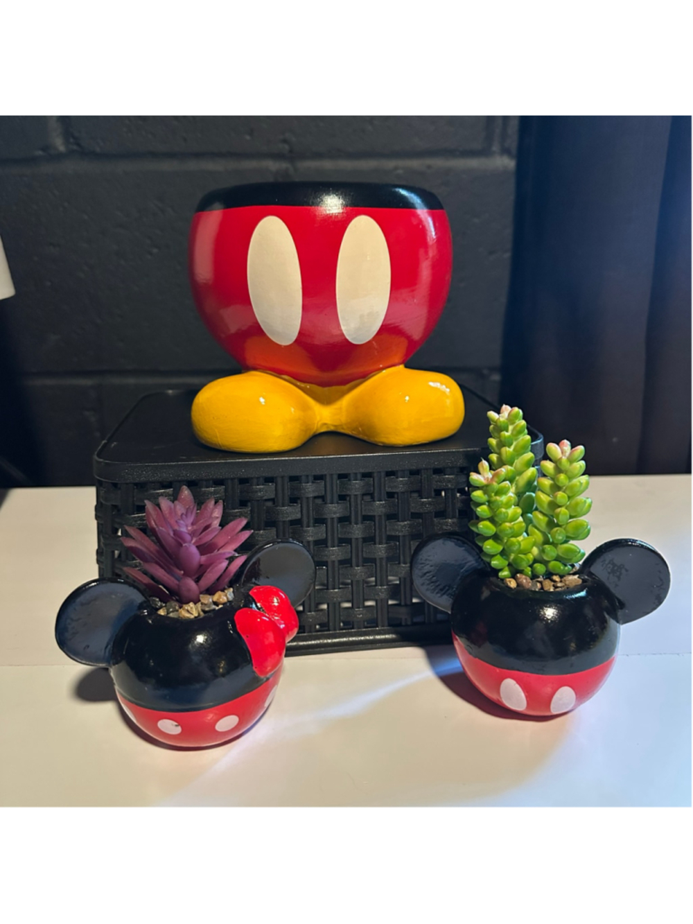 Mickey & Minnie Inspired Planter with 2 Faux Succulent Pots Set